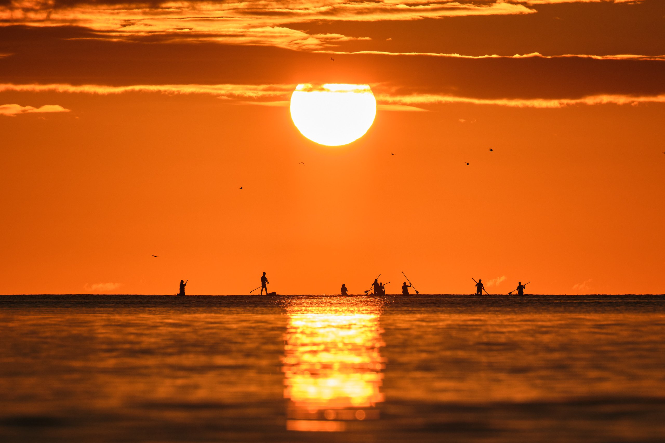 Herd Groyne lighthouse silhouetted against a warm sunrise sky over the rocks